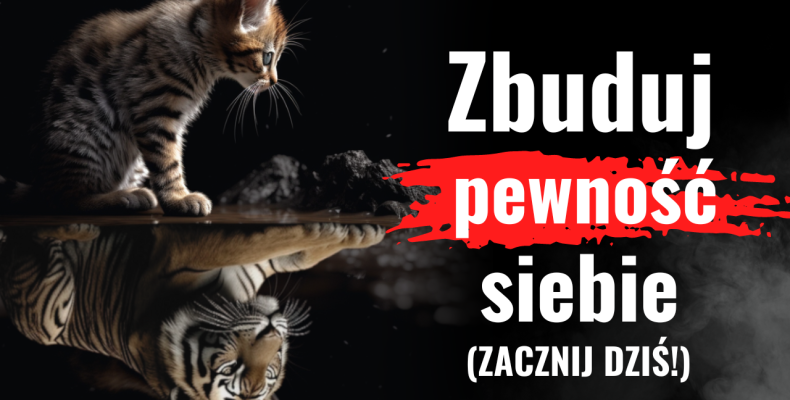 zbuduj pewność siebie zacznij dziś - napis i kot i tygrys